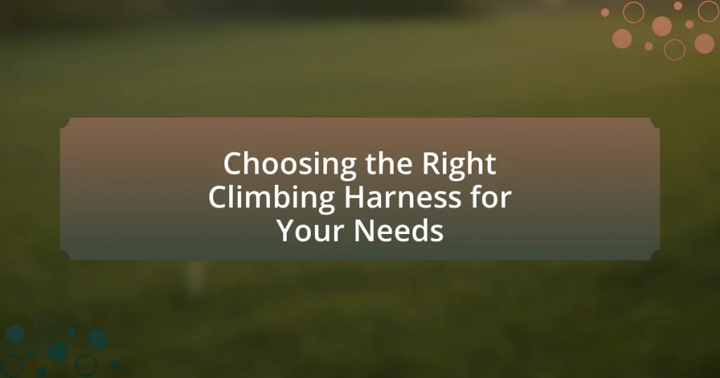 Choosing the Right Climbing Harness for Your Needs