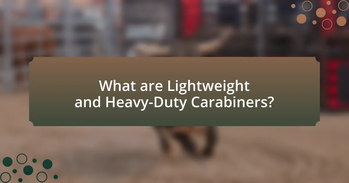 What are Lightweight and Heavy-Duty Carabiners?