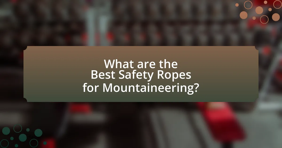 What are the Best Safety Ropes for Mountaineering?