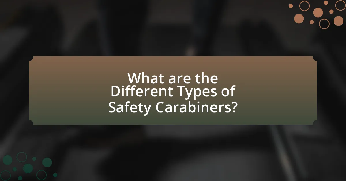 What are the Different Types of Safety Carabiners?