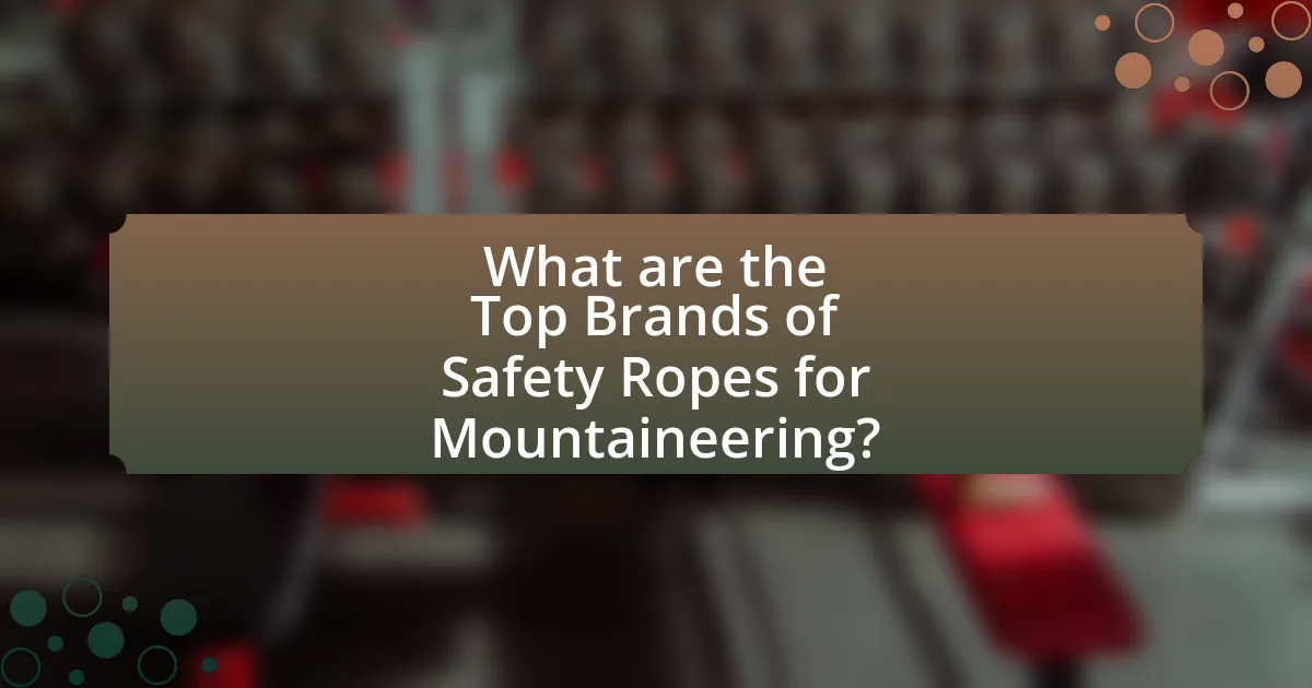 What are the Top Brands of Safety Ropes for Mountaineering?