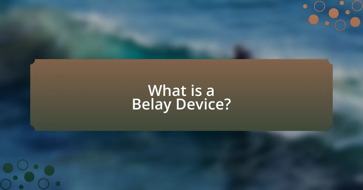 What is a Belay Device?