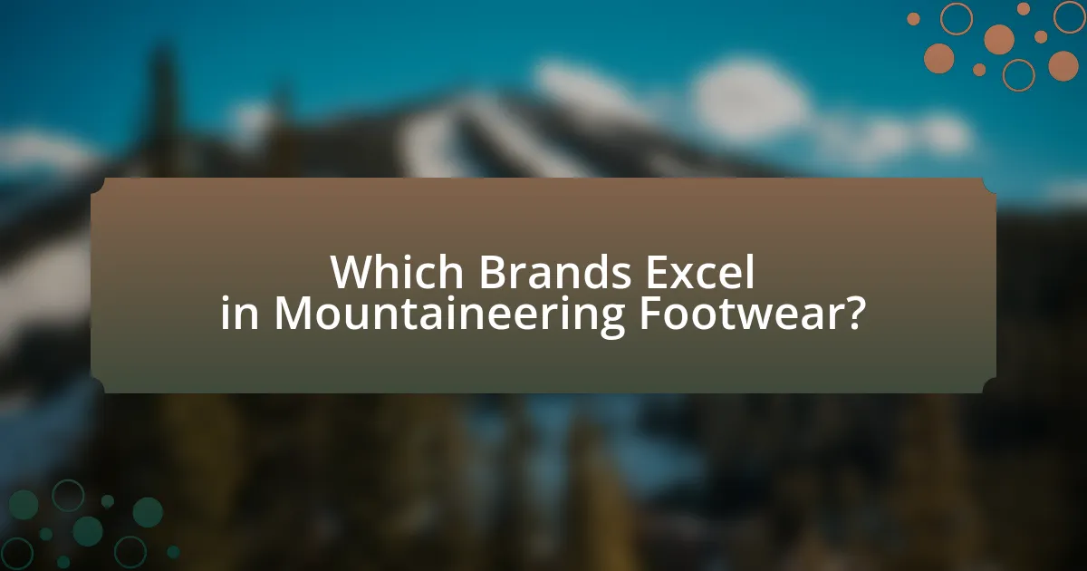 Which Brands Excel in Mountaineering Footwear?