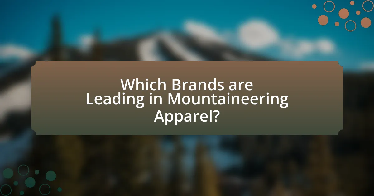 Which Brands are Leading in Mountaineering Apparel?